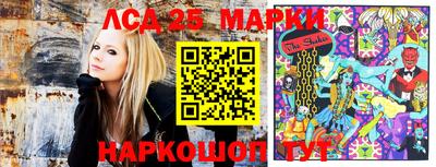 молекула духа Ставрополь