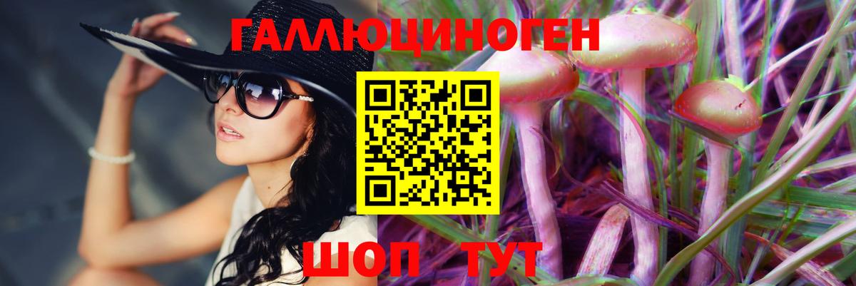 Псилоцибиновые грибы MAGIC MUSHROOMS Печора
